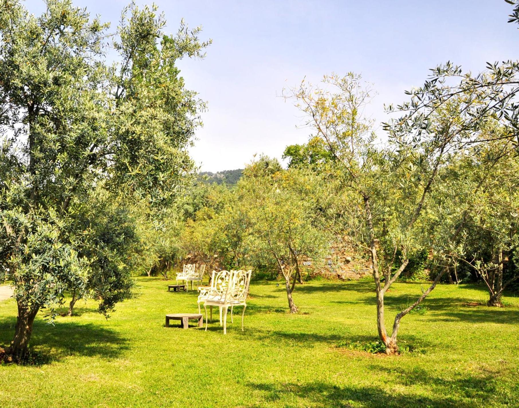 Gullu Konaklari Selçuk Extérieur photo