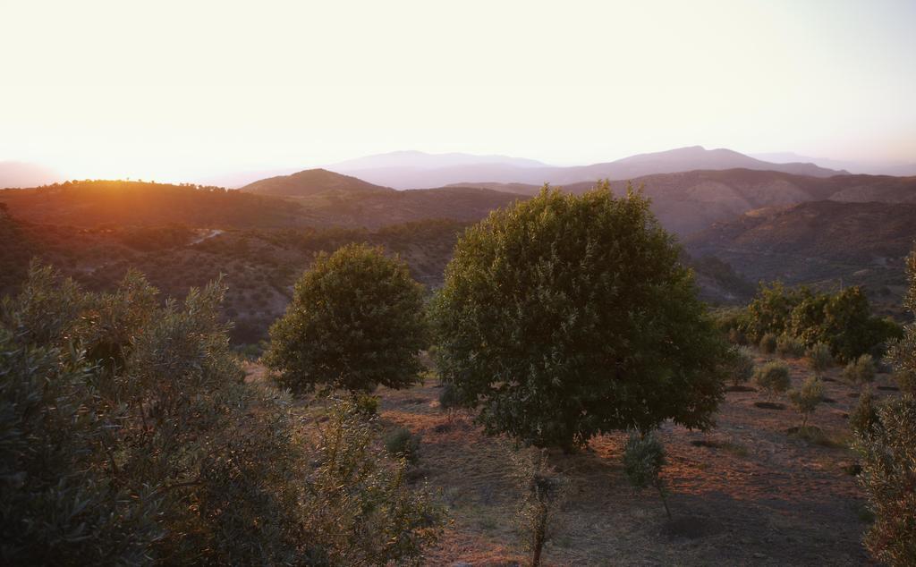 Gullu Konaklari Selçuk Extérieur photo